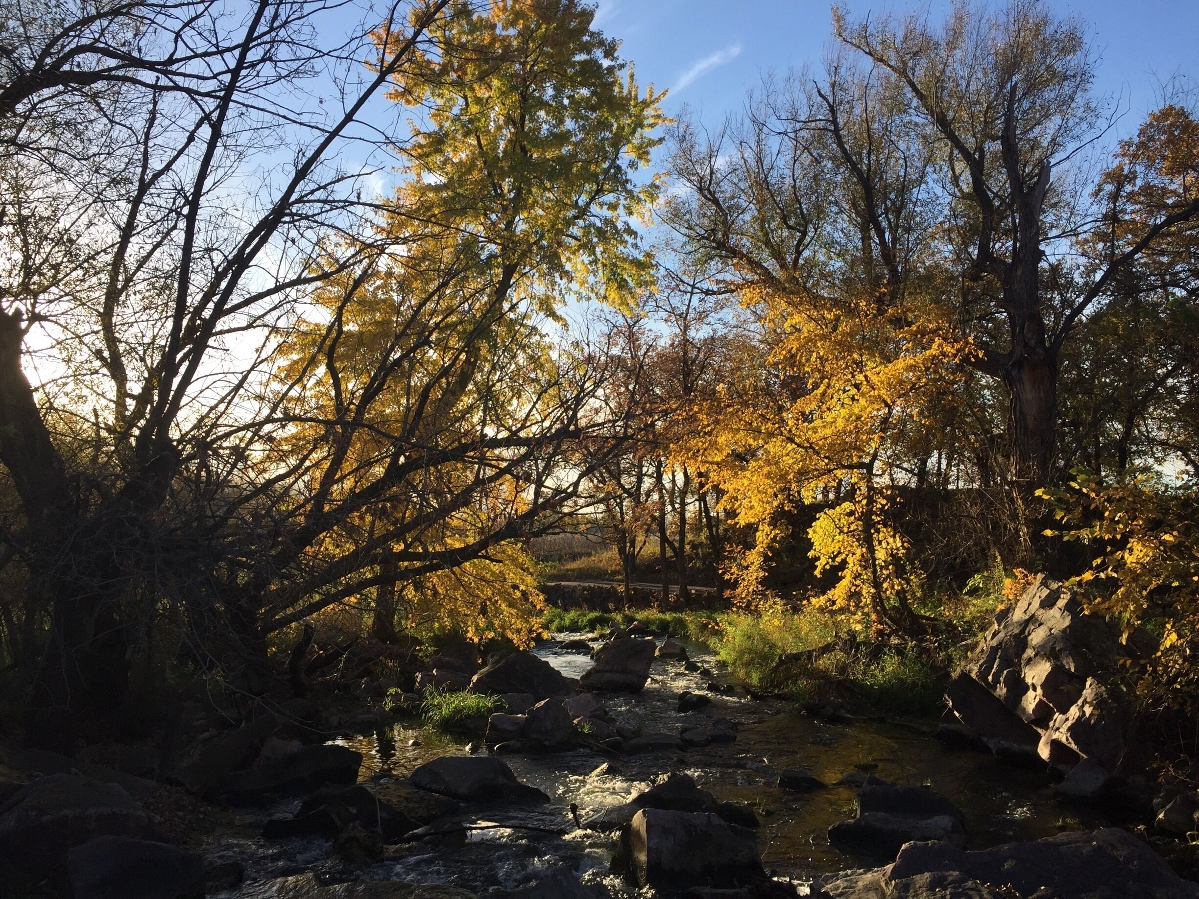 Early evening fall colors over Pipestone Creek. The Circle Loop trail crosses the creek just in front of Winnewissa Falls. Pipestone National Monument is an incredible place. The historical and spiritual significance of the site is palpable. A place of deep reverence and peace. Visit when the sun is low in the west, lighting up the quartzite cliffs as they rise from the vast golden prairie surrounding them. 