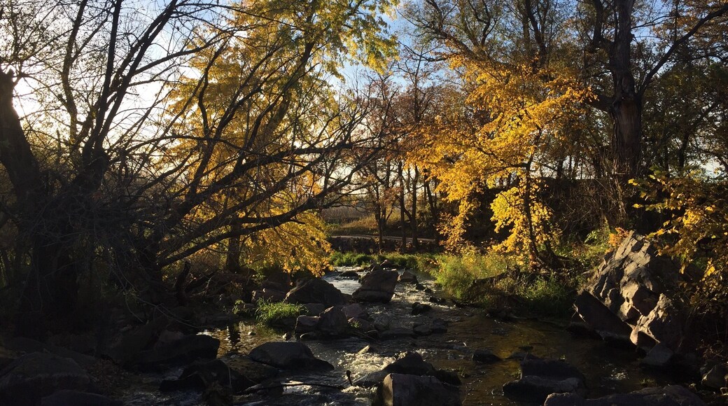 Early evening fall colors over Pipestone Creek. The Circle Loop trail crosses the creek just in front of Winnewissa Falls. Pipestone National Monument is an incredible place. The historical and spiritual significance of the site is palpable. A place of deep reverence and peace. Visit when the sun is low in the west, lighting up the quartzite cliffs as they rise from the vast golden prairie surrounding them.