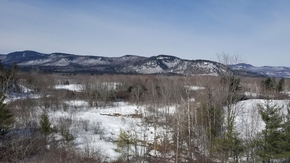 Intervale New Hampshire