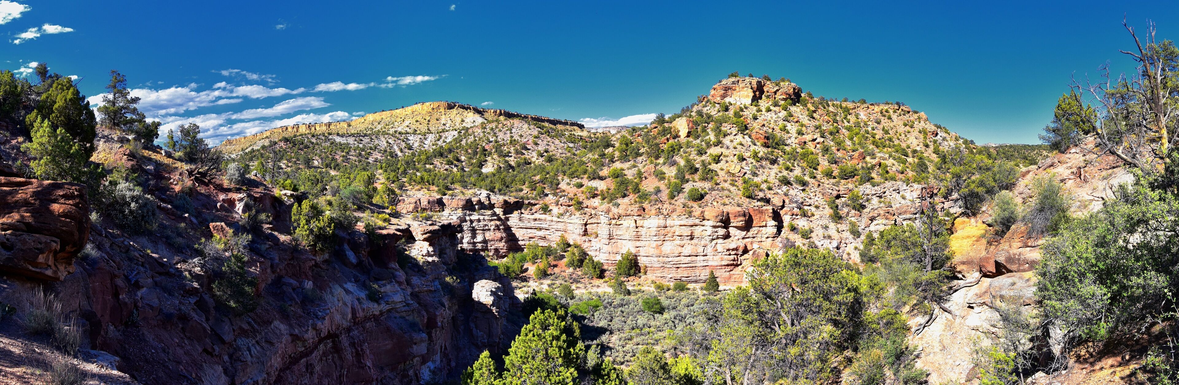 Escalante Petrified Forest State Park views from hiking trail of the surrounding area, lake and trees. Utah. United States.