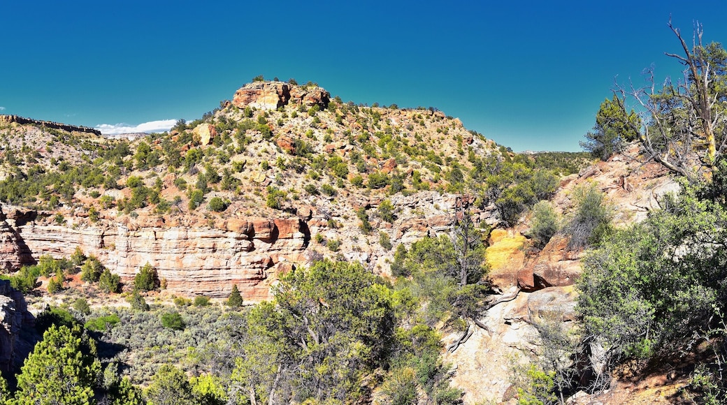 Parc de la Ciutat d'Escalante