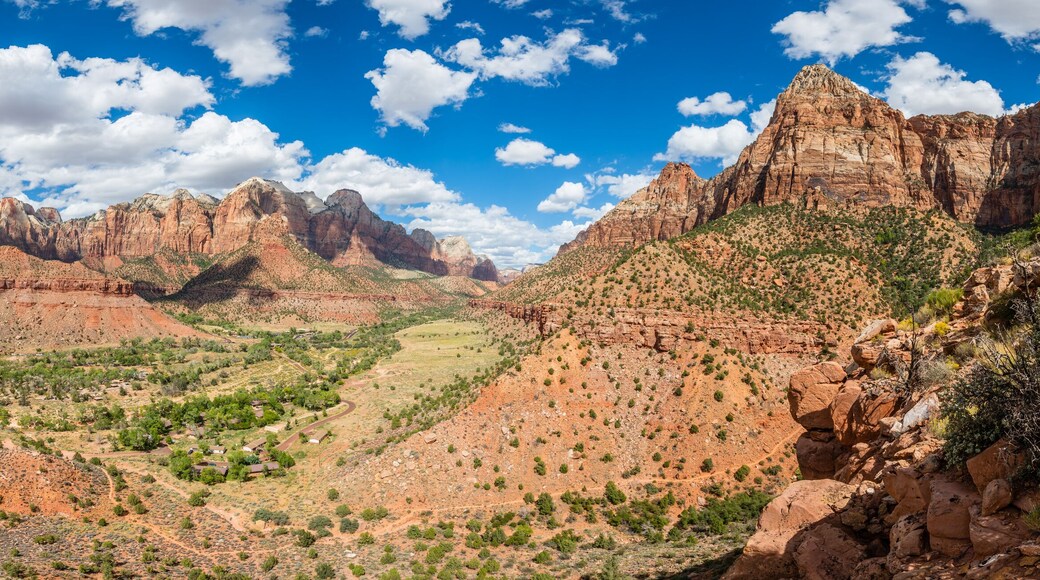 데저트 로즈 공원