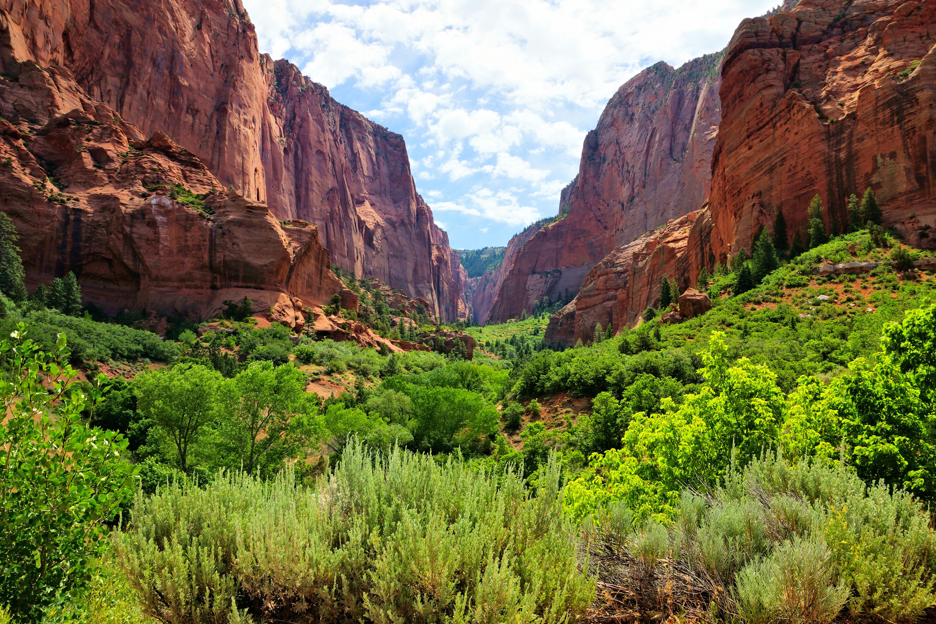 Zion National Park, view through the red cliffs of Kolob Canyon, USA