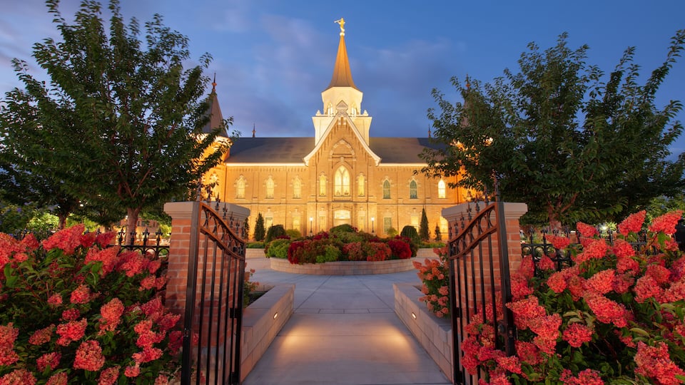 A church with a tall spire, surrounded by flowering bushes and a paved walkway.