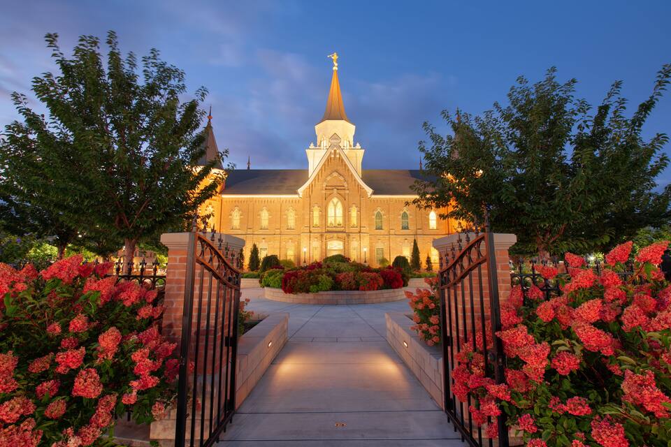 A church with a tall spire, surrounded by flowering bushes and a paved walkway.