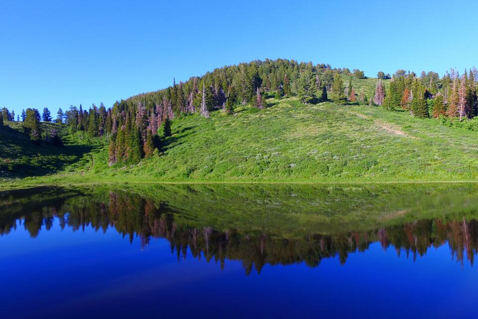 Un lago tranquilo reflejando una ladera boscosa bajo un cielo despejado.