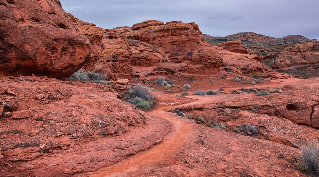 Chuckawalla and Turtle Wall trail desert hiking views Cliffs National Conservation Area Wilderness, Snow Canyon State Park St George, Utah, United States.