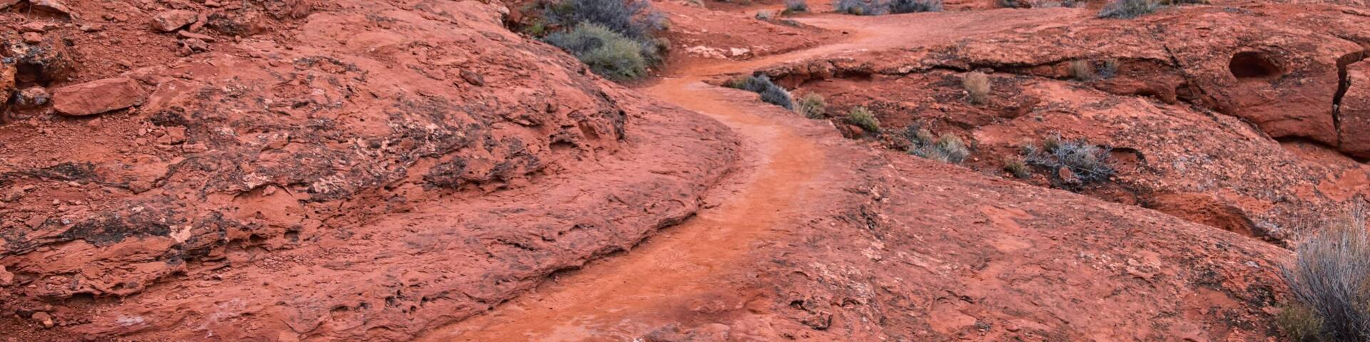 Chuckawalla and Turtle Wall trail desert hiking views Cliffs National Conservation Area Wilderness, Snow Canyon State Park St George, Utah, United States.