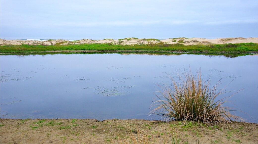 Pismo Beach showing a lake or waterhole