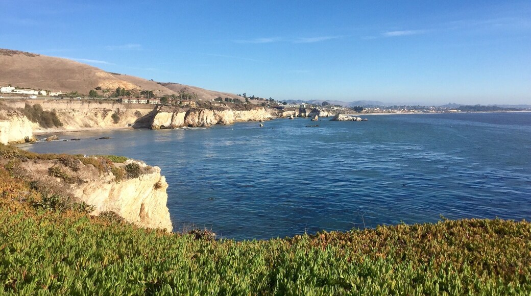 Looking towards the city of Pismo Beach from this beautiful city park.