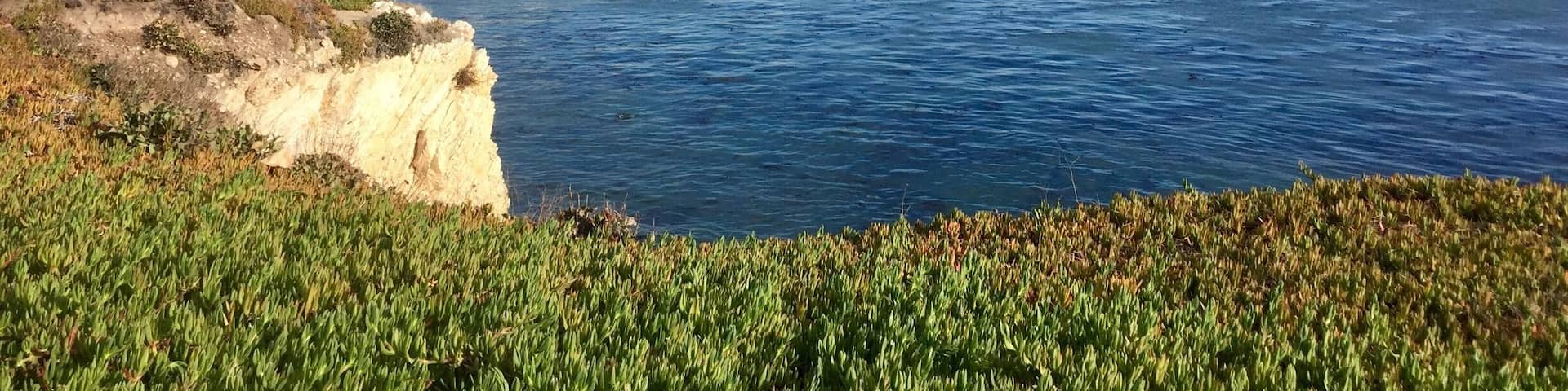 Looking towards the city of Pismo Beach from this beautiful city park.