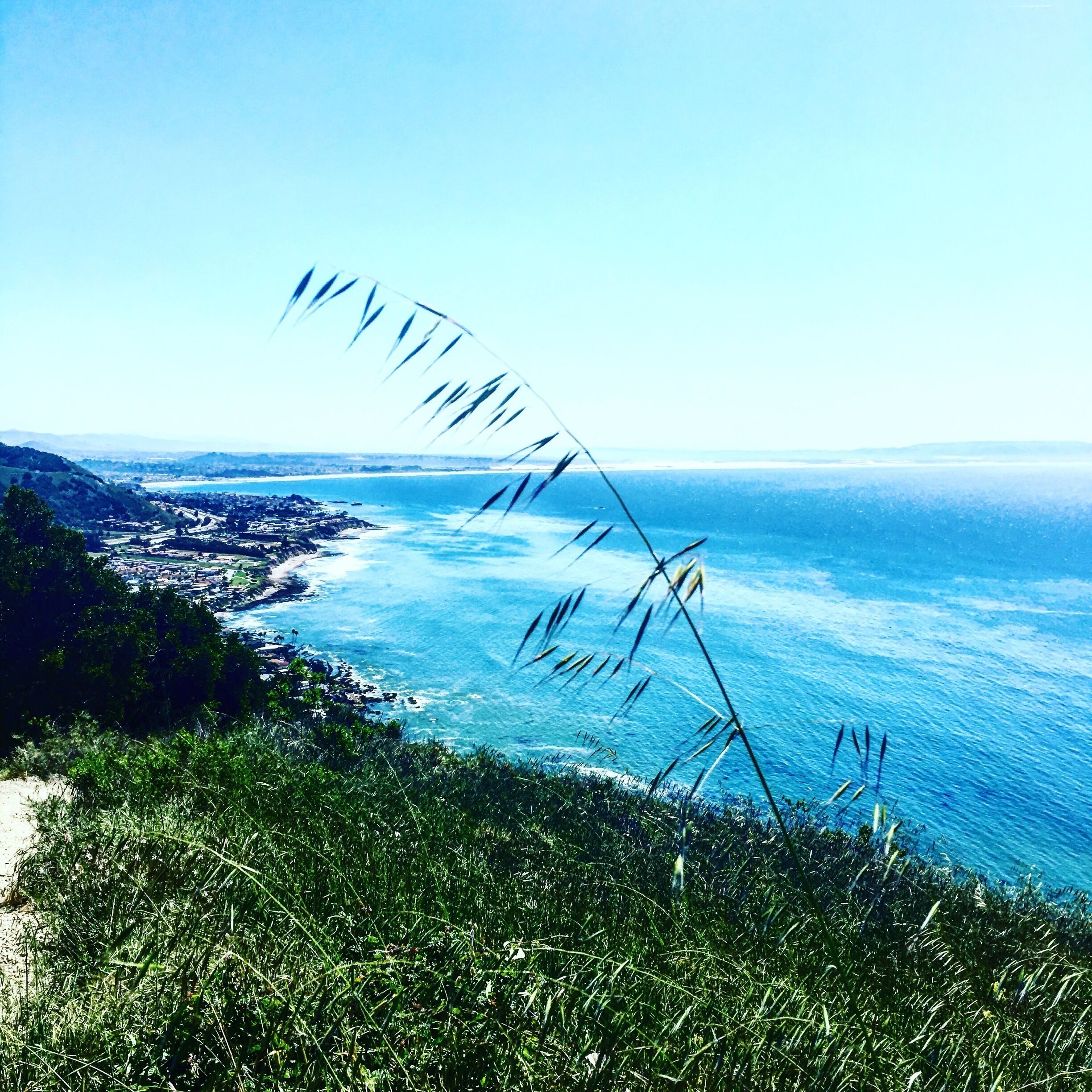 Overlooking Shell Beach from the ridge. 
Beautiful! A must if your looking for a good day hike. A bit strenuous but possible!