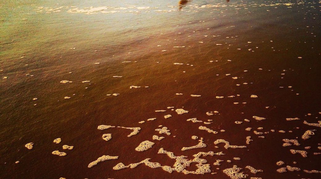 A fave spot to wander the beach or just nap on the warm sand, sometimes I'll even fly a kite!