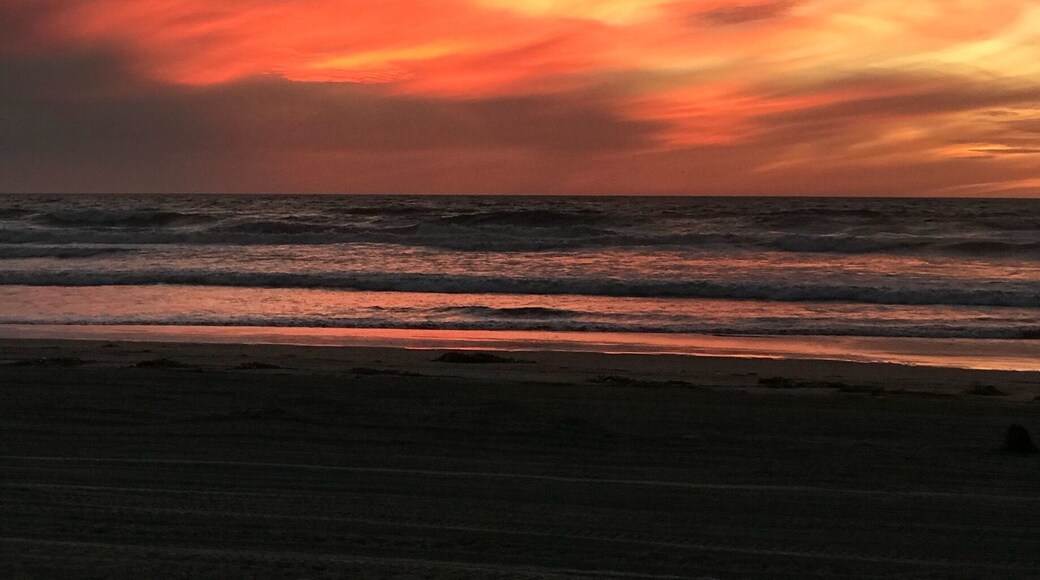 Beach sunsets are the best 😍