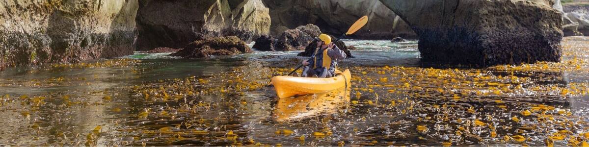Shell Beach in California is a great place to go kayaking in and around beach caves. #BeachTips