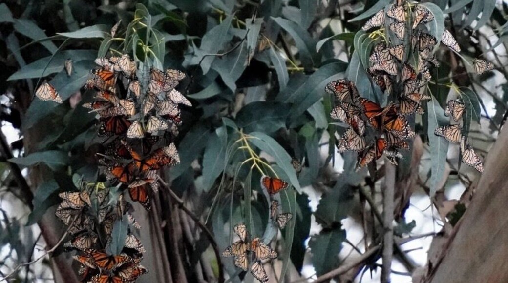 After you stroll through the grove, follow the trail to the beach. It’s beautiful and not crowded.