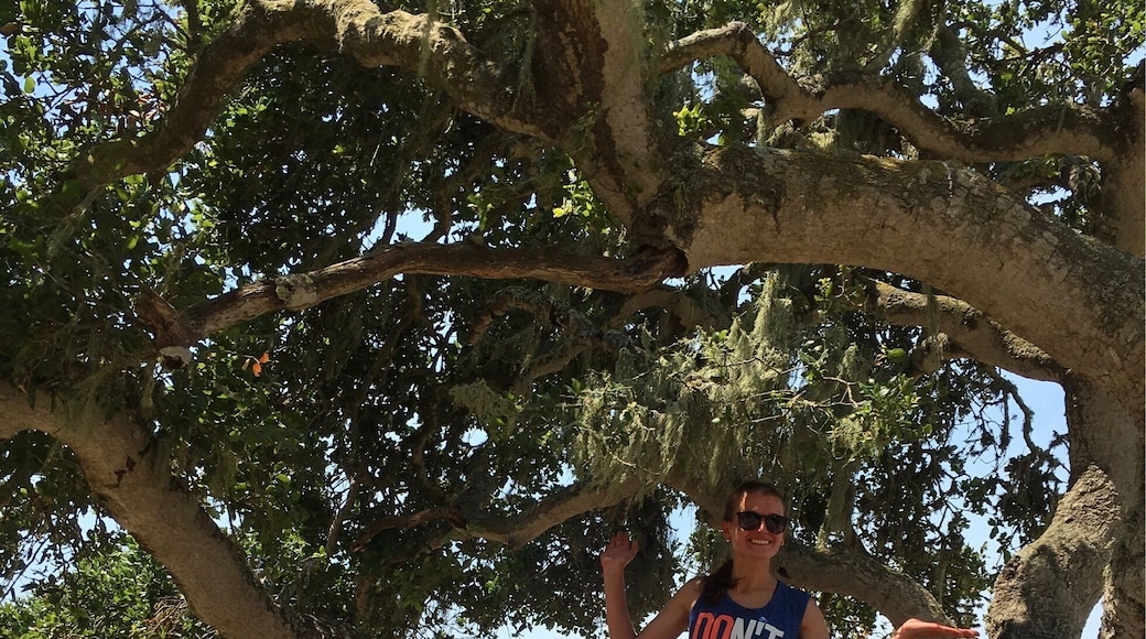 Good, long hike with pretty stations to view landscapes of Pismo