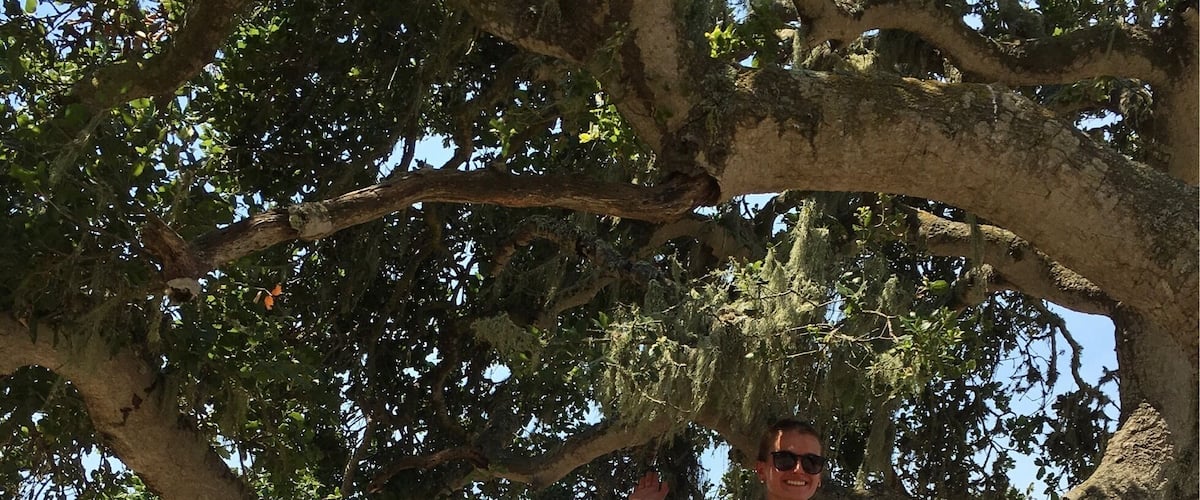 Good, long hike with pretty stations to view landscapes of Pismo