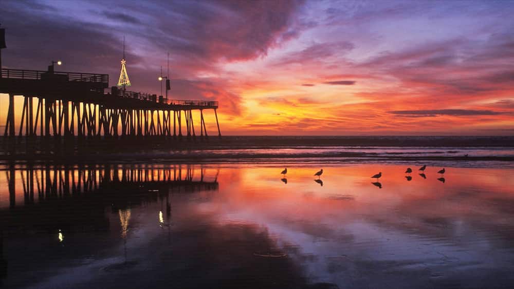 Pismo Beach featuring a sunset, views and tropical scenes