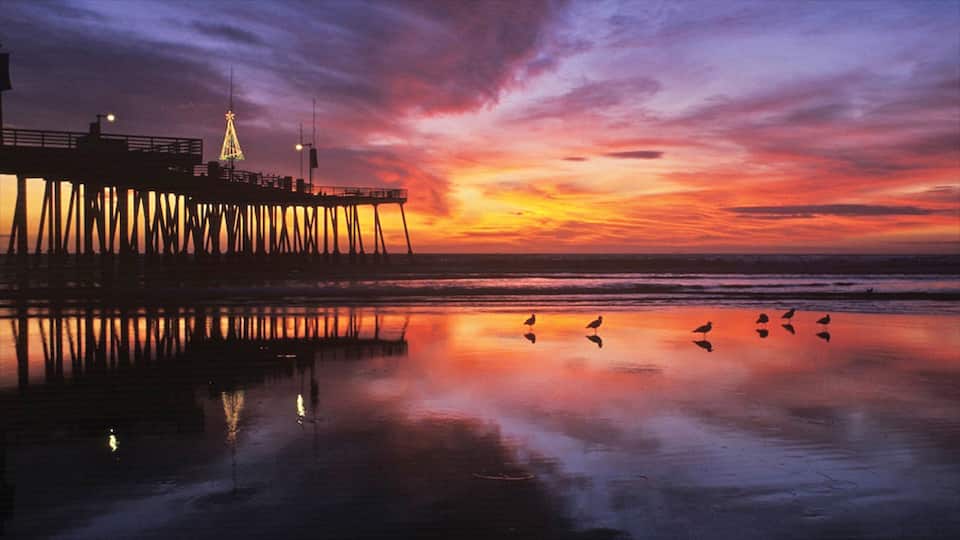 Pismo Beach featuring a sunset, views and tropical scenes