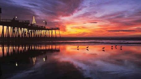 A pier with a Christmas tree at sunset.