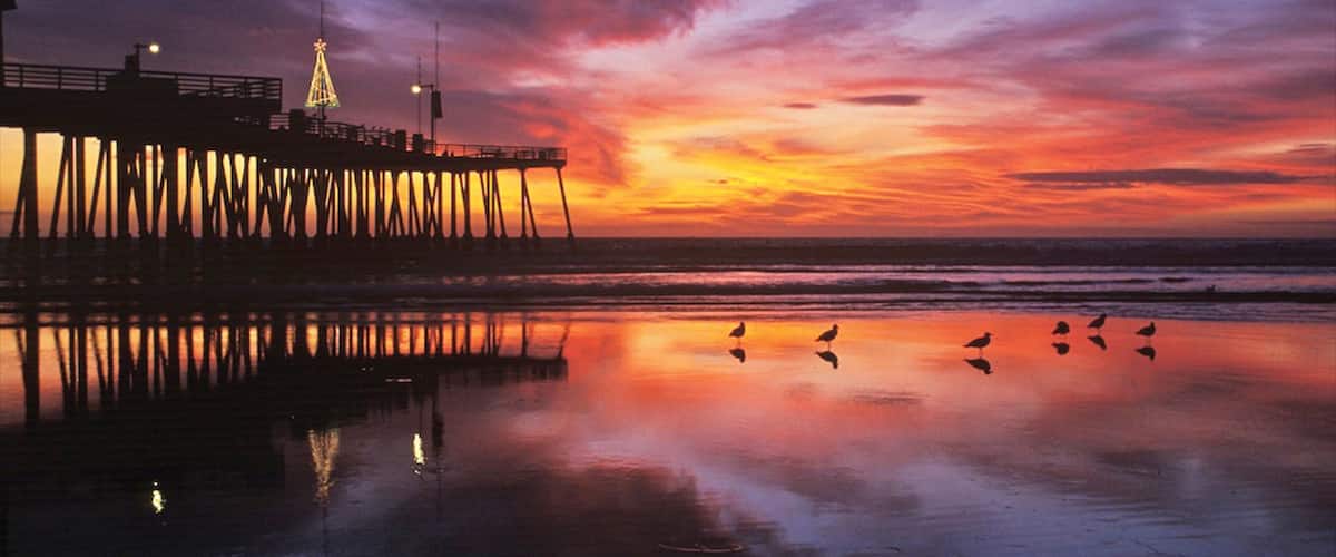 Pismo Beach featuring general coastal views, tropical scenes and a sunset