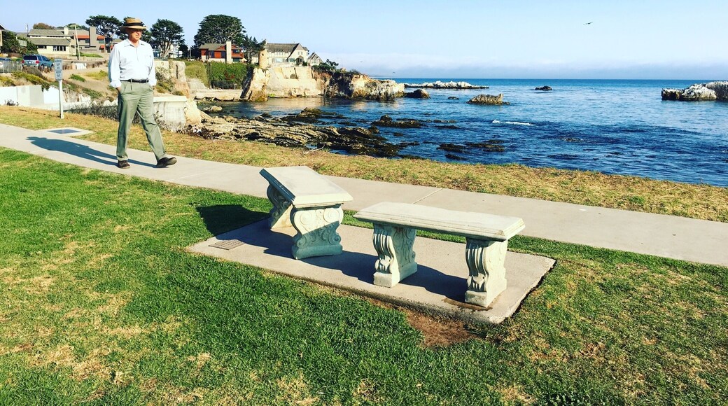 Panoramic views are the Shell Beach, California