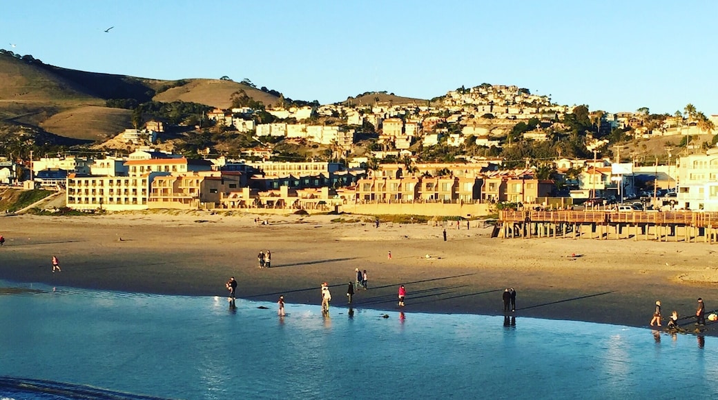 #pismobeach #beachhopper #beachbum #pointbreak #centralcali #centralcalifornia #beach #residents #wintergoers