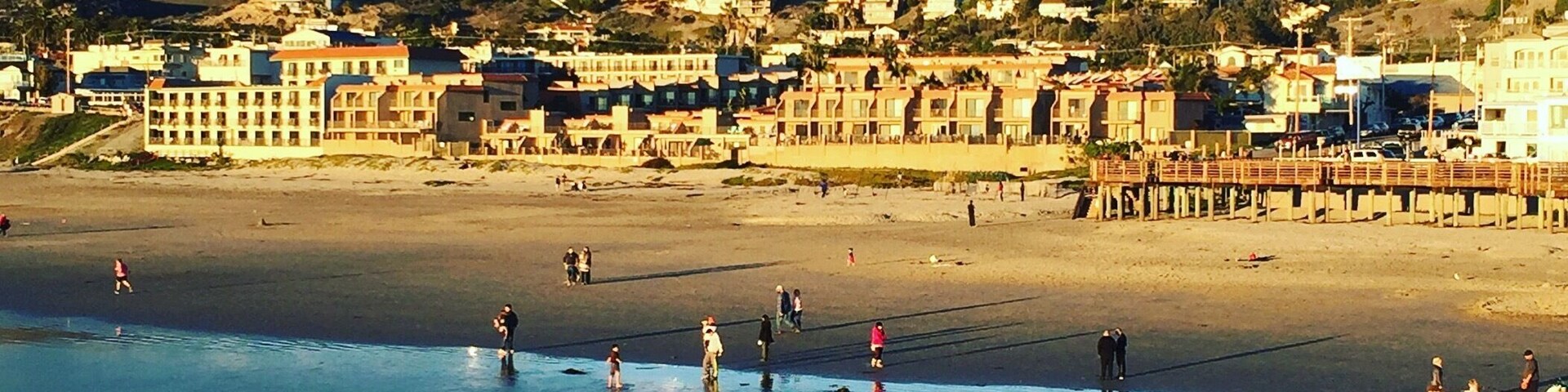 #pismobeach #beachhopper #beachbum #pointbreak #centralcali #centralcalifornia #beach #residents #wintergoers