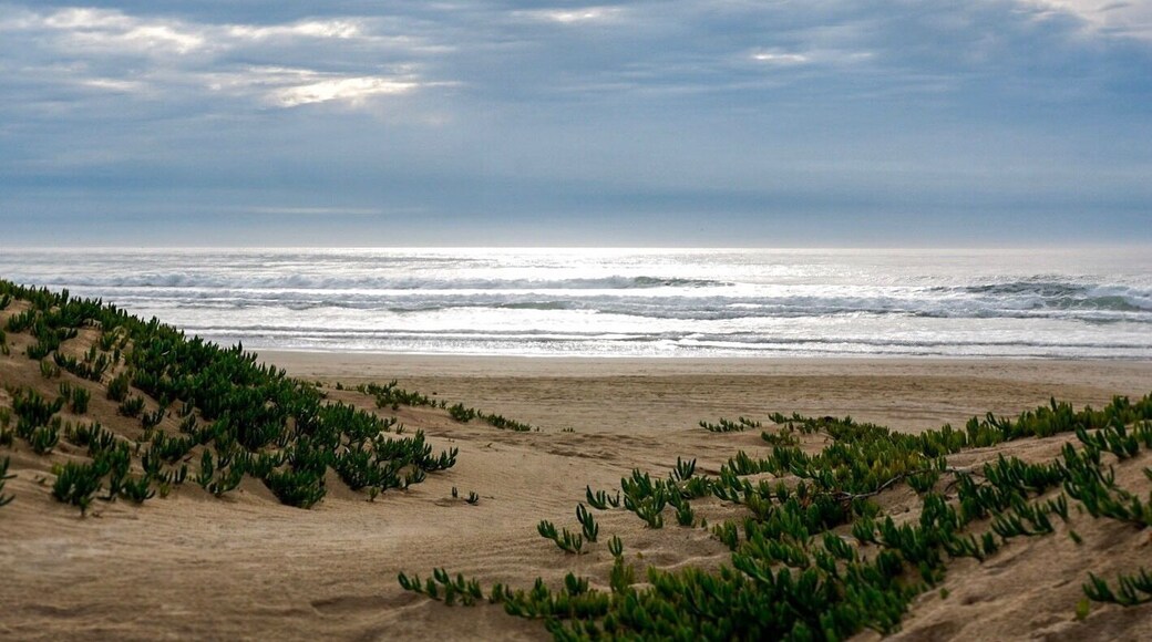 After you stroll through the butterfly grove, take the Meadow Creek Trail down to the beach. It’s beautiful and not crowded.