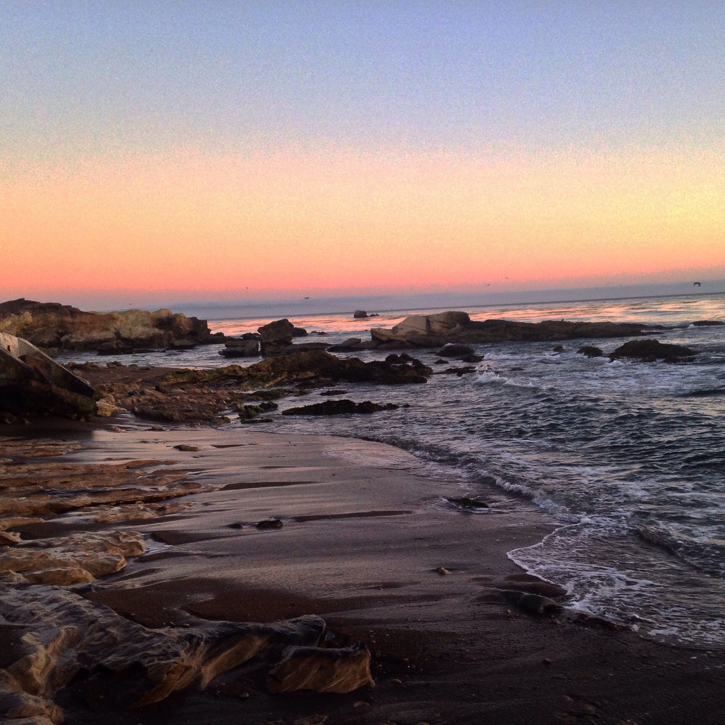 The high tide tonight at Shell Beach gave us quite a show. There was a large pod of dolphins off shore and birds flying and diving into the water everywhere; the Pelicans were my favorite to watch. Usually we come here during low tide to explore the pools, but this was a different experience and one not to be missed.
