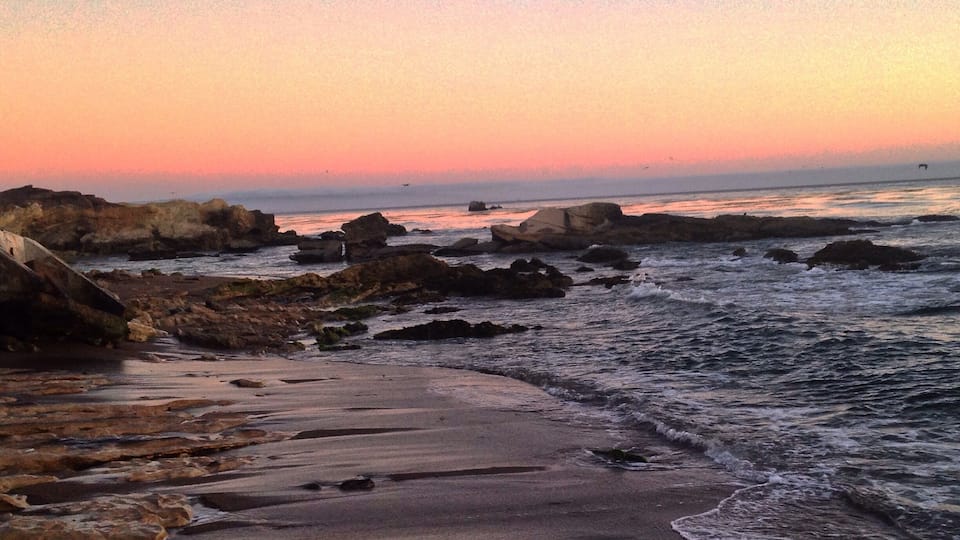 The high tide tonight at Shell Beach gave us quite a show. There was a large pod of dolphins off shore and birds flying and diving into the water everywhere; the Pelicans were my favorite to watch. Usually we come here during low tide to explore the pools, but this was a different experience and one not to be missed.