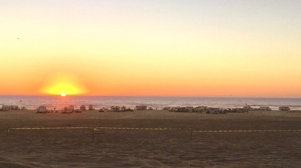 Oceano Dunes is the only California State Park where vehicles may be driven on the beach. Four wheel drive or all wheel drive vehicles are recommended for driving on the beach and to the camping and off-highway vehicle use areas in the park.