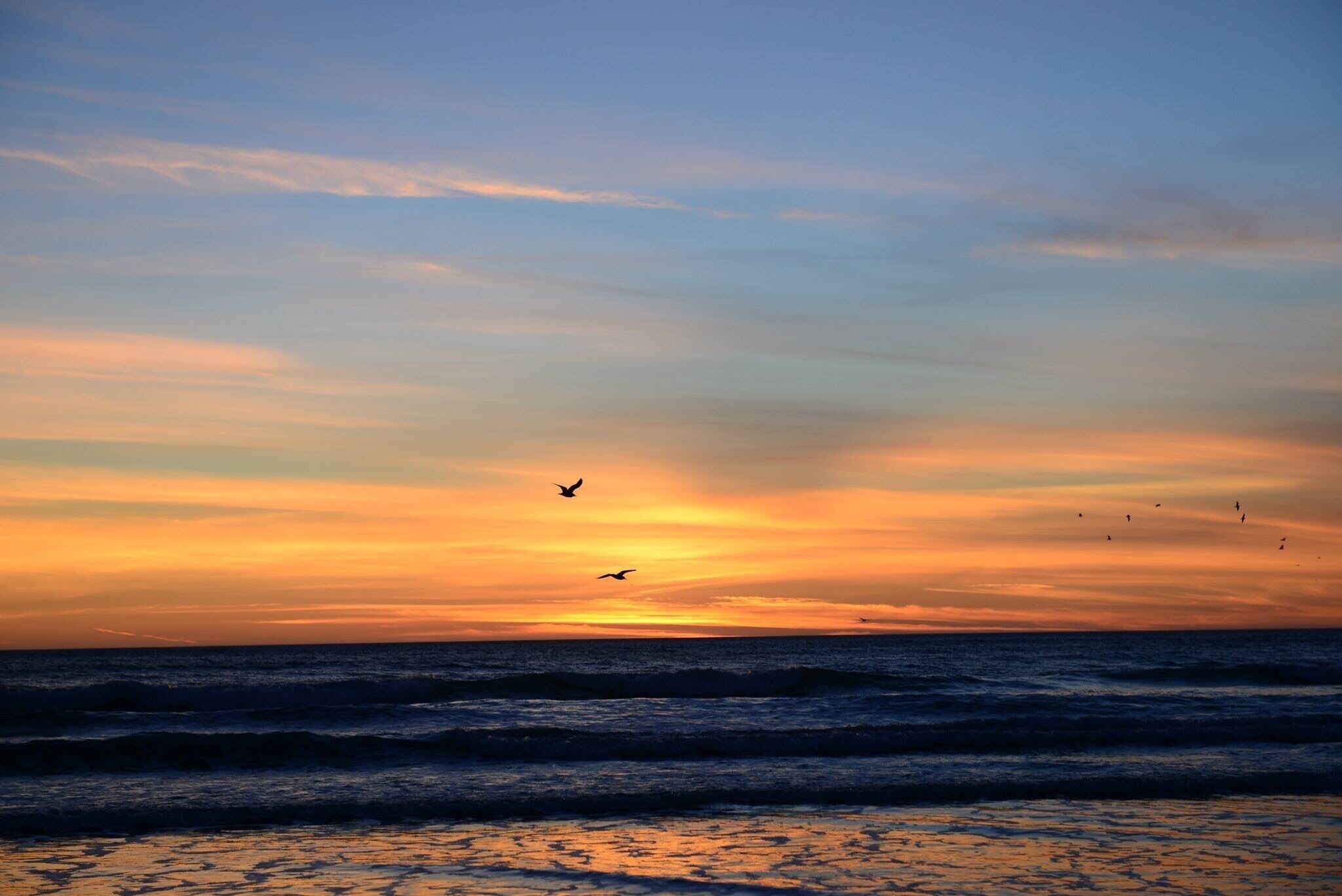 At Pismo Beach California