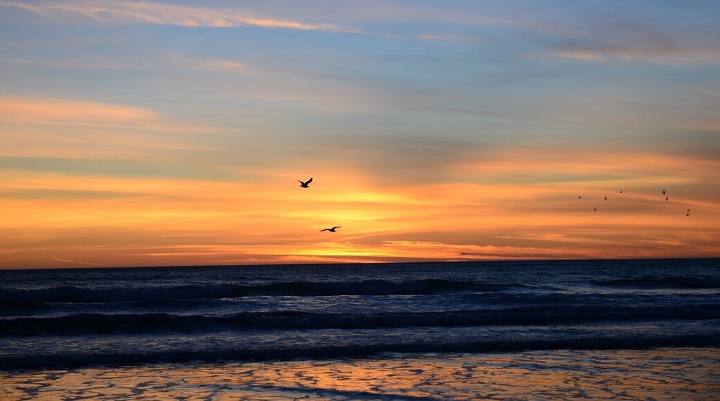 At Pismo Beach California