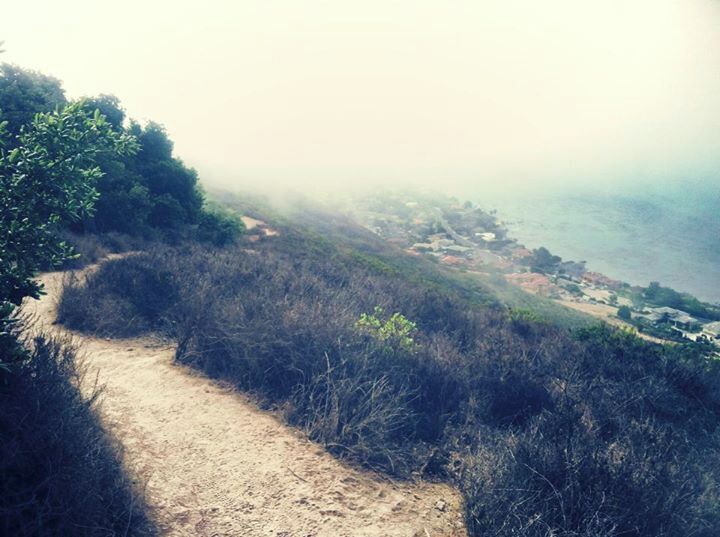 Really cool run on the bluffs between Pismo and Avila!