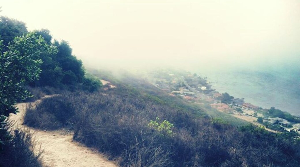 Really cool run on the bluffs between Pismo and Avila!