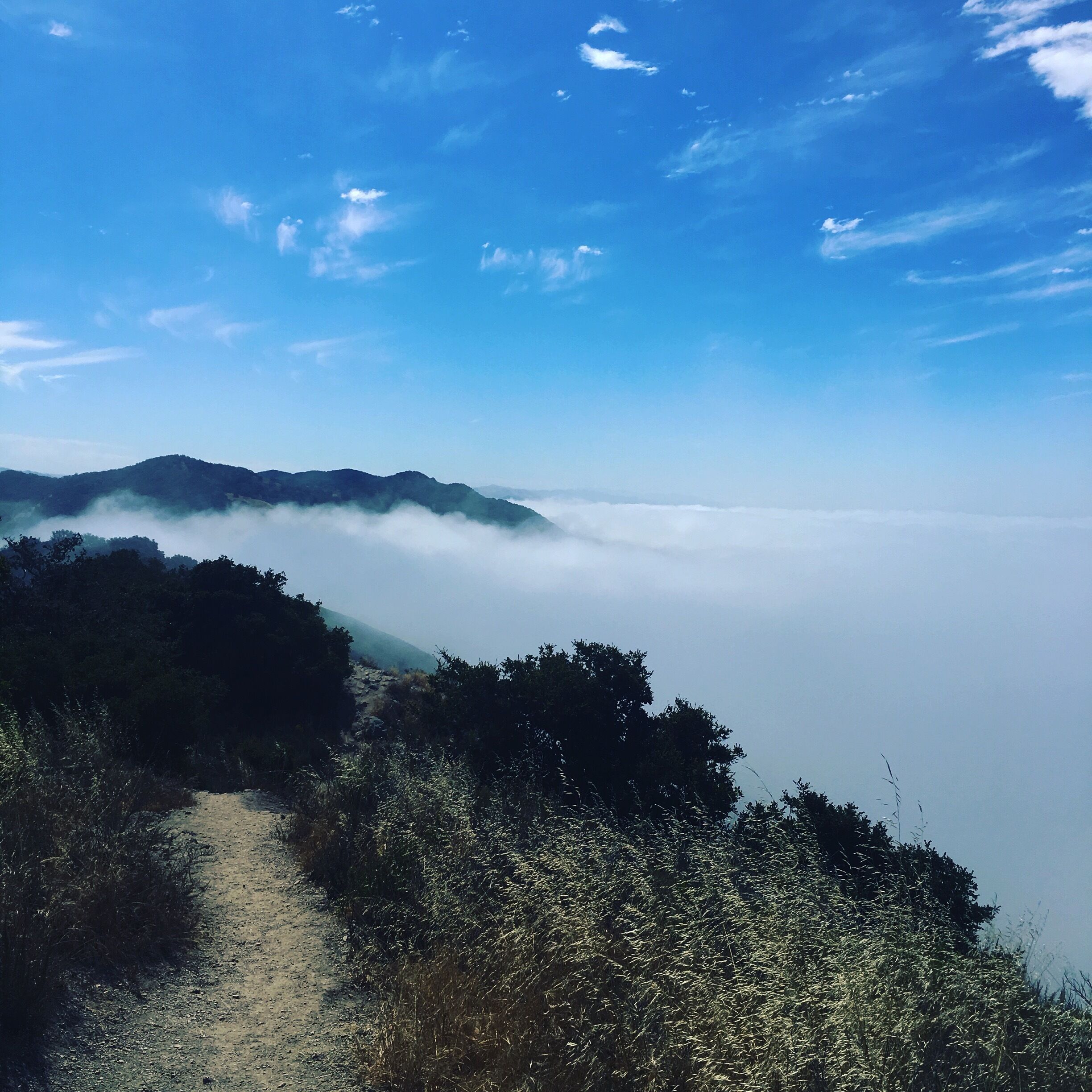 I'm sorry but I'm just in love with this trail. 