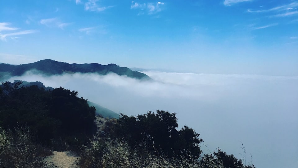 I'm sorry but I'm just in love with this trail.