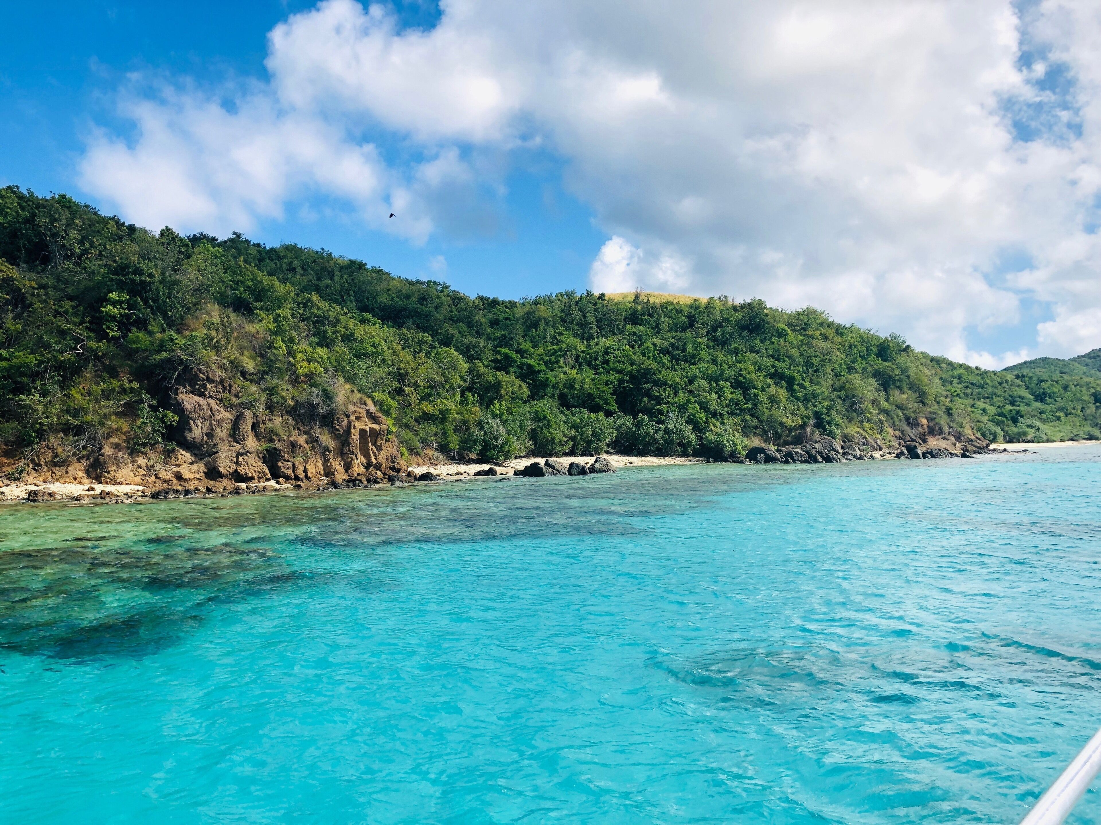 A turquoise sea, a sandy beach, and a forested hillside.