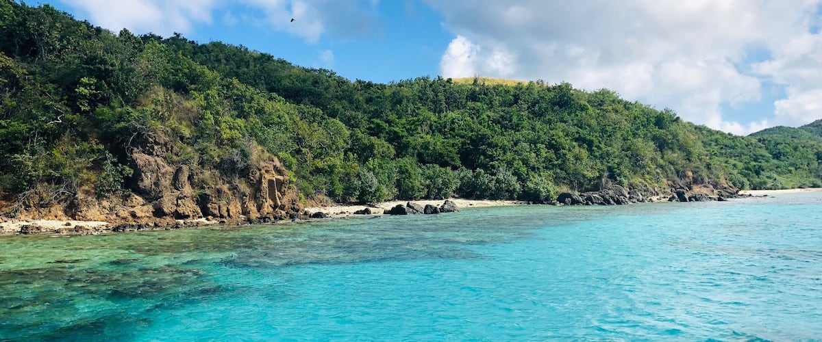 A turquoise sea, a sandy beach, and a forested hillside.