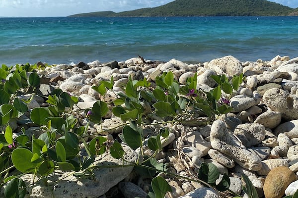 Great for snorkeling