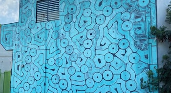 Got to meet the young mural artist Andres on Culebra-he’s attending an Art Institute in Rhode Island so I ran into him working for his father over Christmas break at Carlos Jeep Rental www.carlosjeeprentals.com?! Multi talented family!