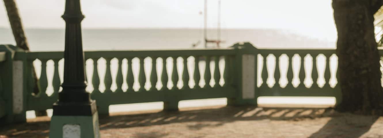 Uma passarela pavimentada com guarda-corpo, uma árvore e vista para o oceano.