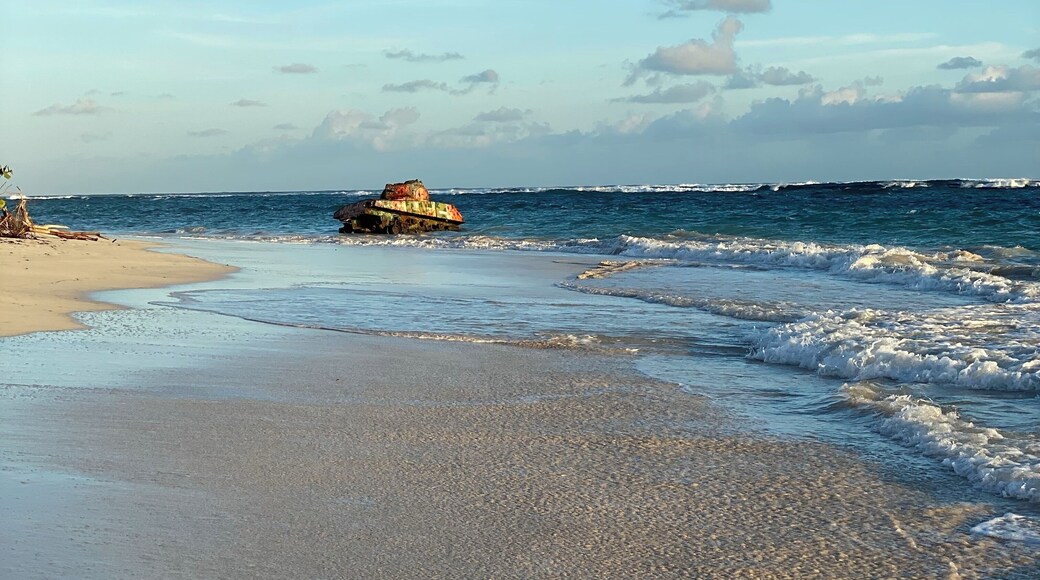 If you look at the end of the beach you do a double take?! Yep it’s a tank!