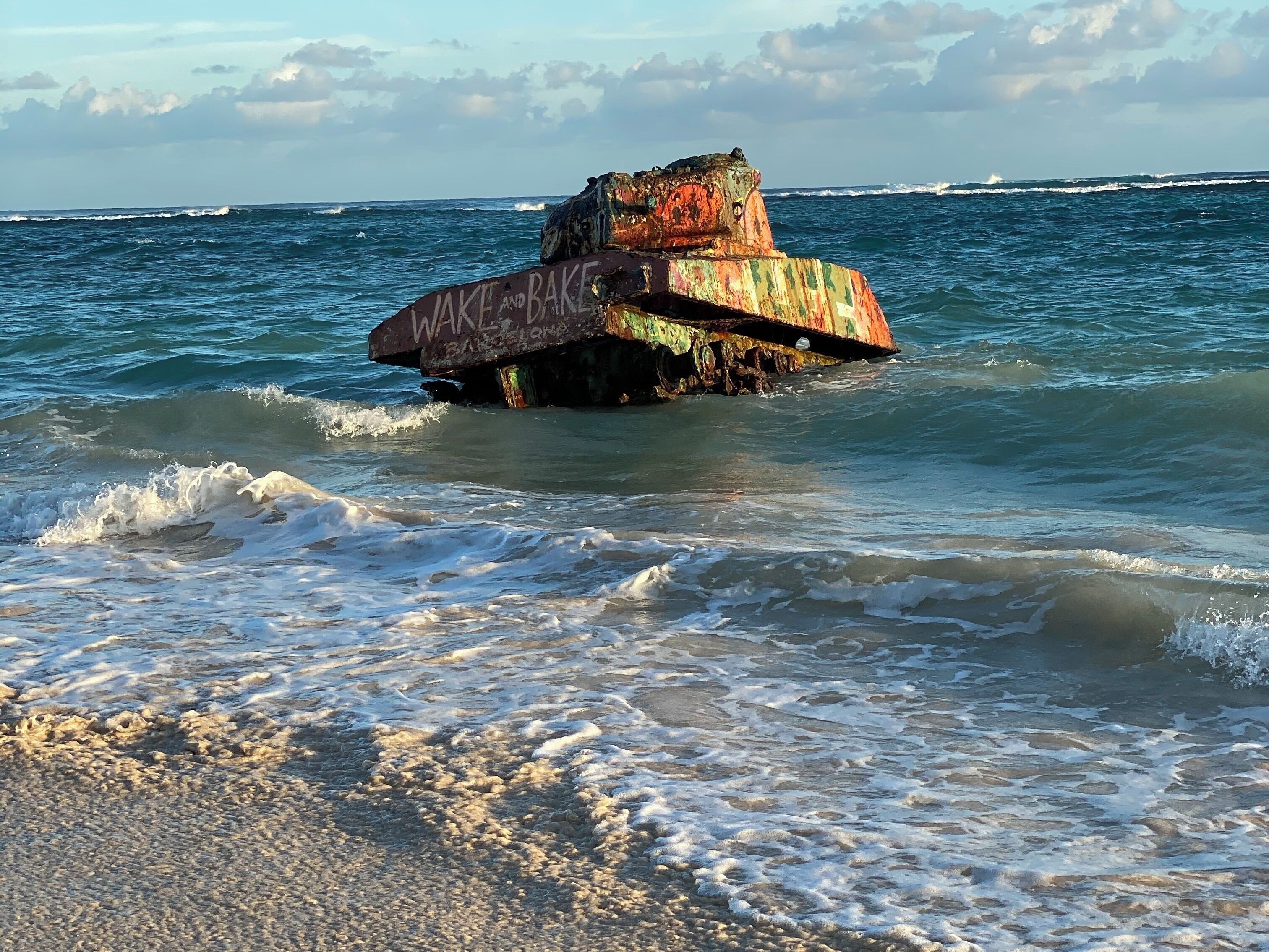 Great accessibility for pictures and just a fun examination