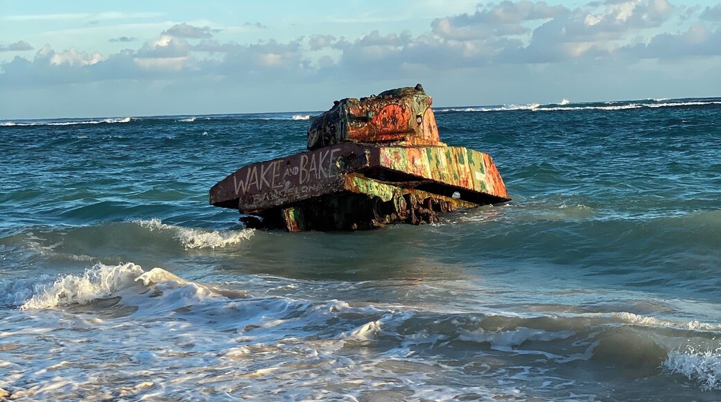 Great accessibility for pictures and just a fun examination