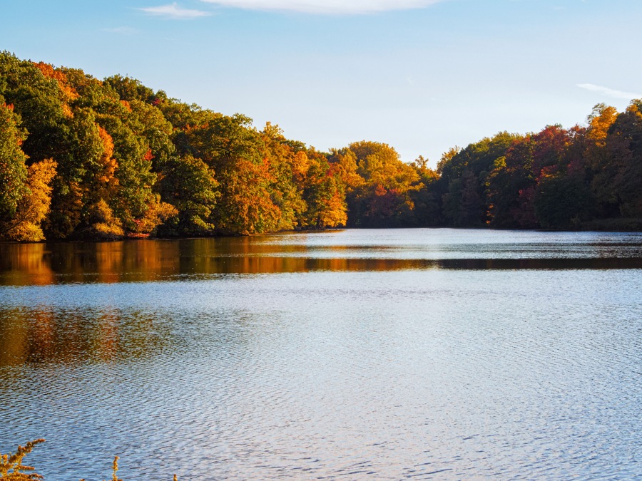 New York autumn leaves reflections of fall trees in lake