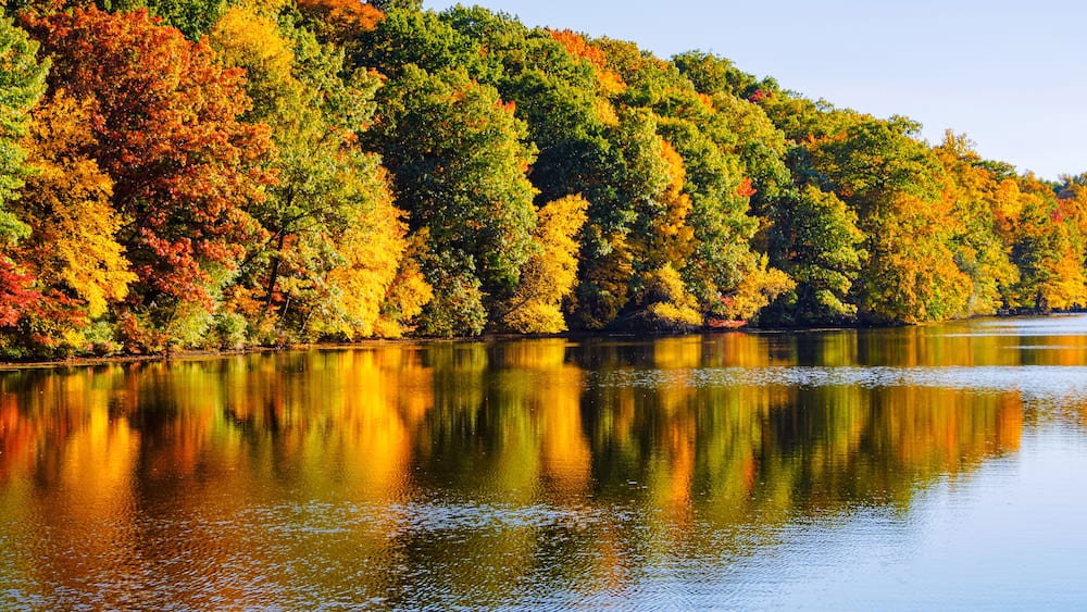 East coast autumn orange yellow red fall leaves lake reflections