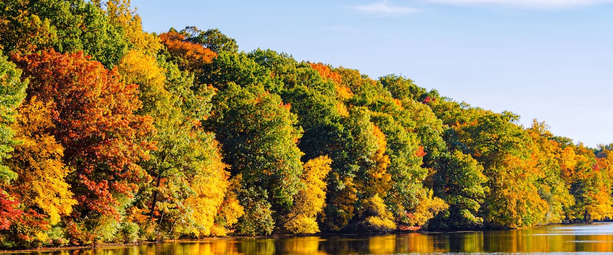 East coast autumn orange yellow red fall leaves lake reflections